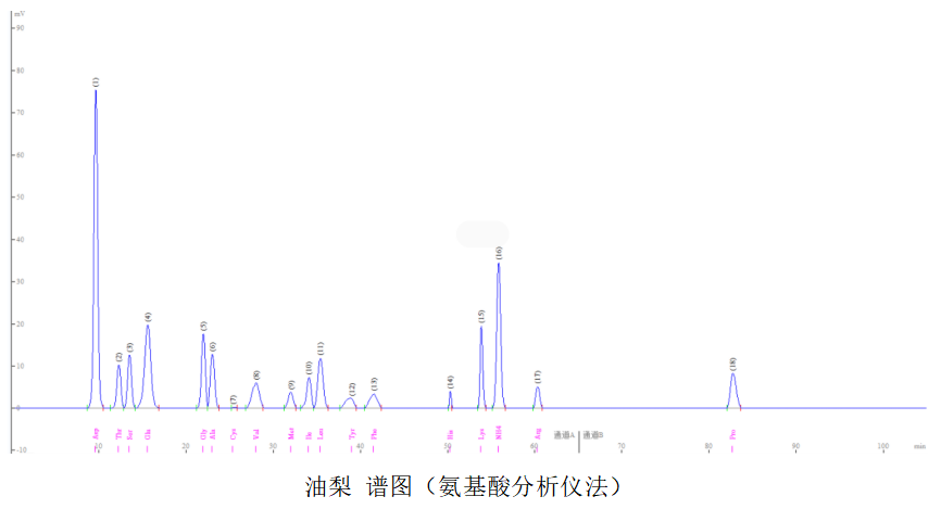 氨基酸定量檢測(cè)